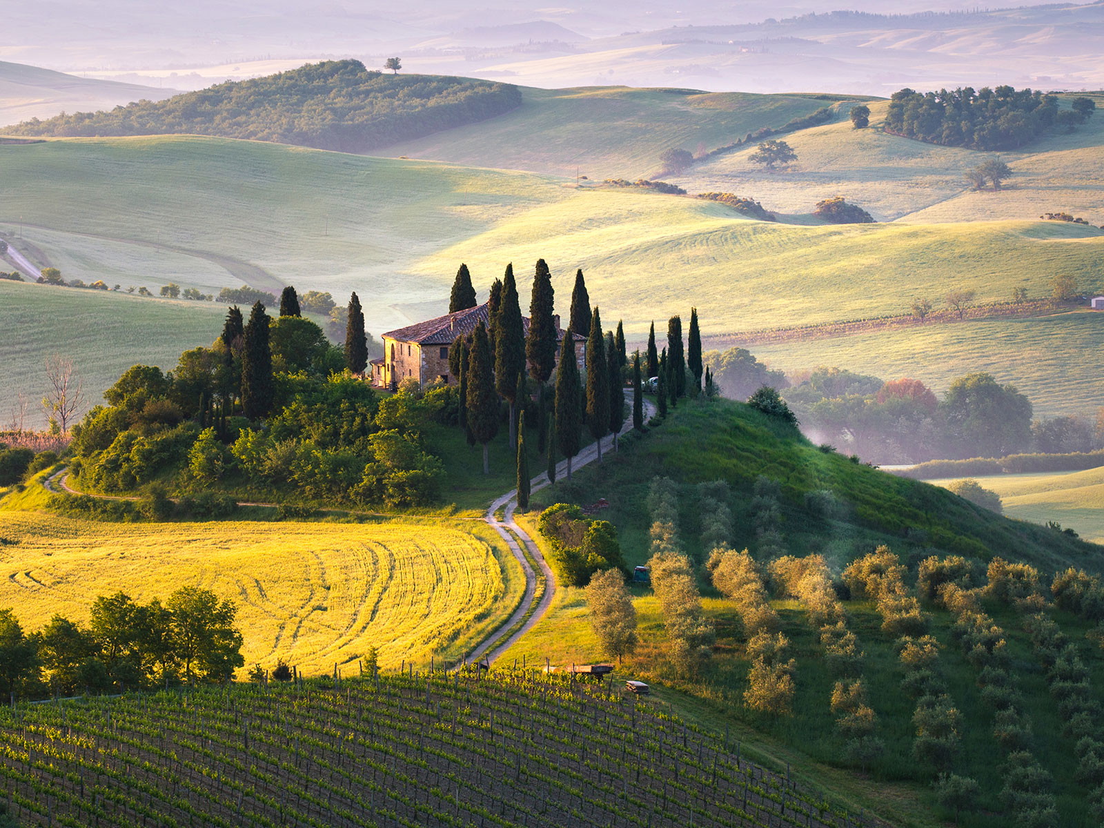 Im Gebiet des Chianti Classico werden&nbsp;auch viele großartige Supertuscans erzeugt.