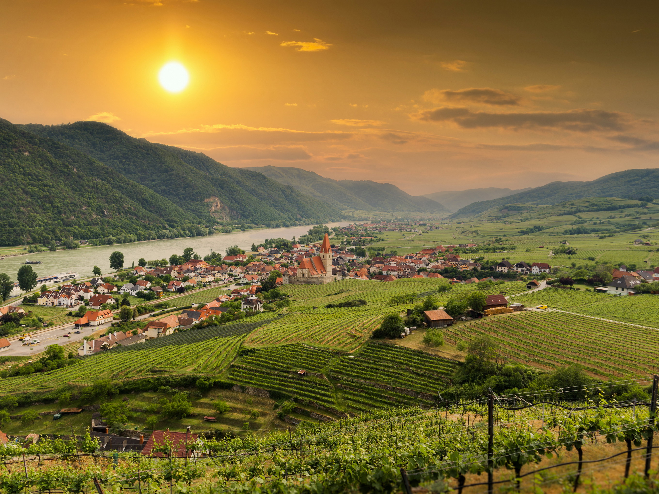 Trotz Wetterkapriolen präsentieren sich die Weine des Jahrgangs 2022 ausgeprägt und harmonisch.