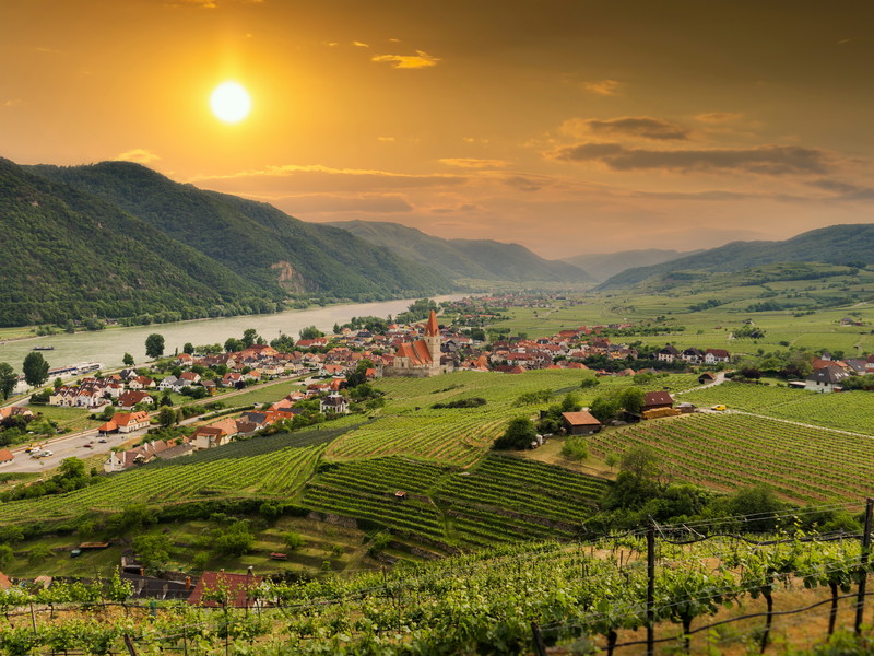 Trotz Wetterkapriolen präsentieren sich die Weine des Jahrgangs 2022 ausgeprägt und harmonisch.
