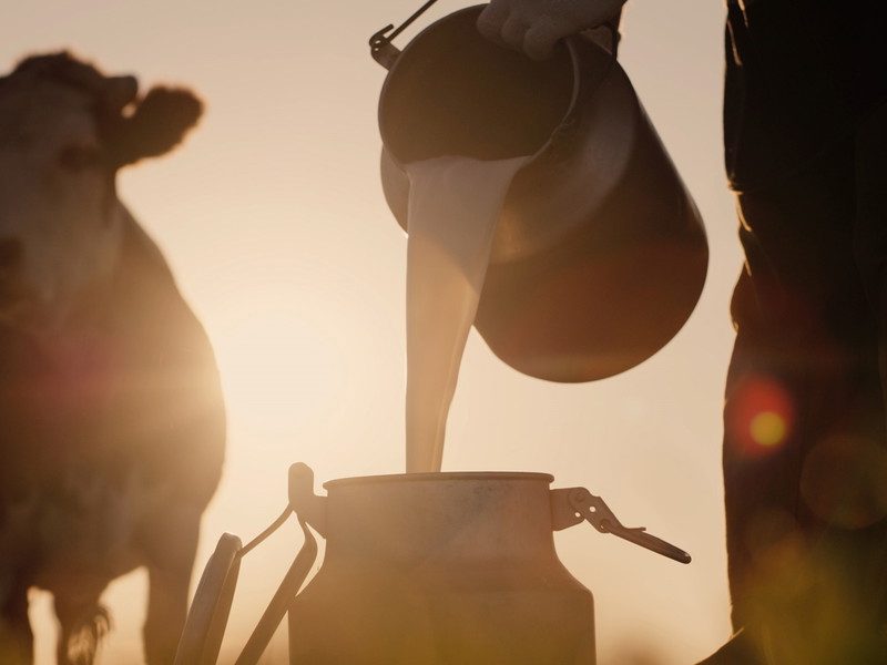 Auf der Berlinale gibt es in diesem Jahr vegane Alternativen zu Milchprodukten.