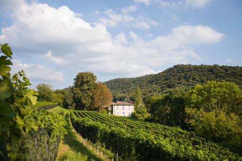 Gehört heute zu den Topbetrieben des Tessins: die Cantina Kopp von der Crone, die 2006 durch die Zusammenlegung der Cantina Kopp von der Crone mit ViniVisini entstand.