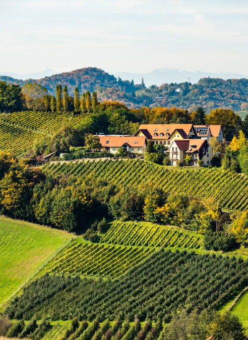 Der »Sattlerhof«.