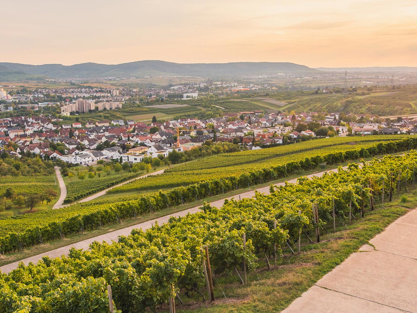 Neben gutem Wein gibt es im Remstal zahlreiche Top-Gastronomien.