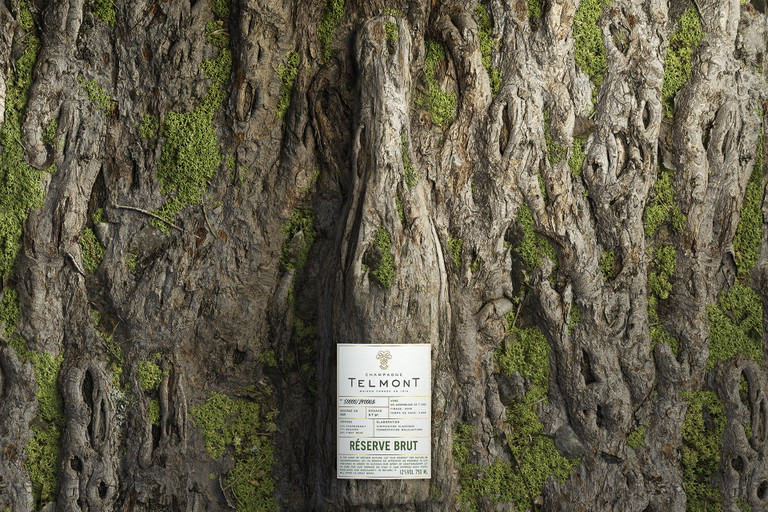 "In the name of Mother Nature" project of Telmont