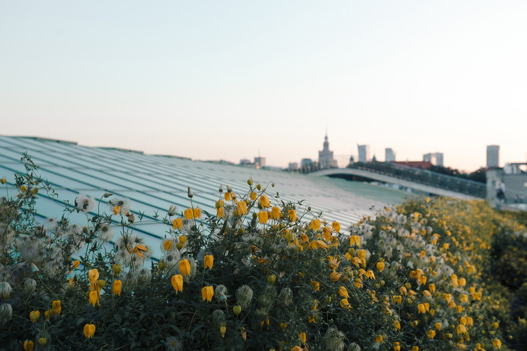Library of Warsaw University Rooftop Garden