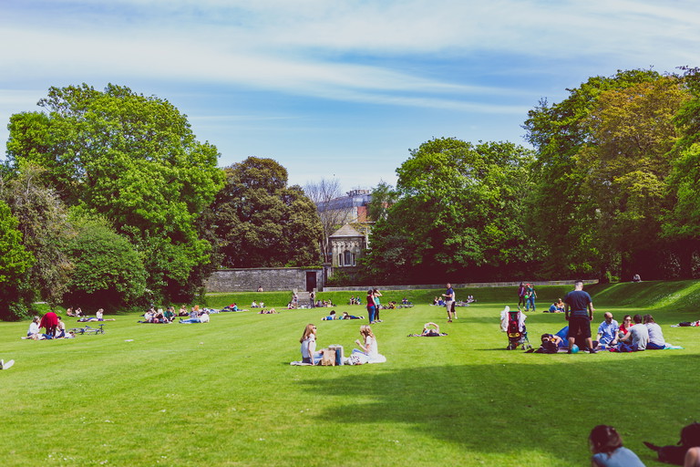 Iveagh Gardens, Dublin