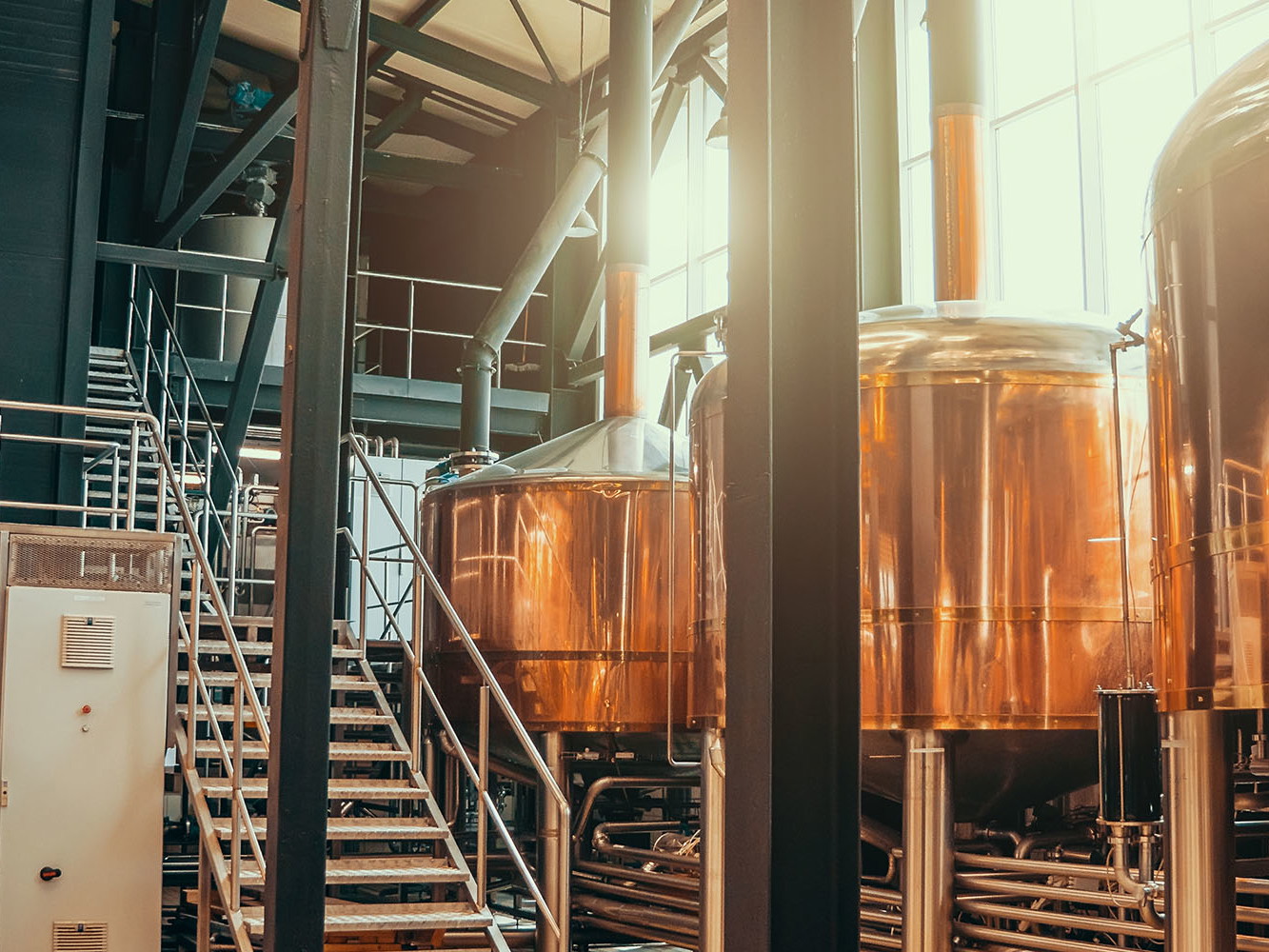 Über 20 Bier-Spezialitäten gehören zum Portfolio der »Memminger Brauerei«.