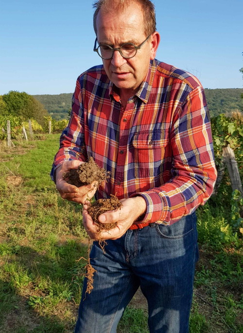Benoit Moulin aus dem Jura gehört bereits seit den 60er-Jahren zu den Vorreitern des biologischen Weinbaus.