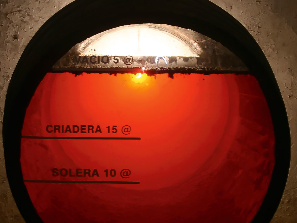 Luft im Fass führt unweigerlich zur Oxidation seines Inhalts. Aromatisch vielschichtig wird es jedoch, wenn ein Hefeflor auf der Oberfläche des Weins wächst.