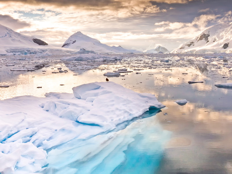 Paradise Bay Antarctica