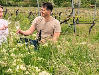 Niederösterreichischer Weinfrühling 2023.