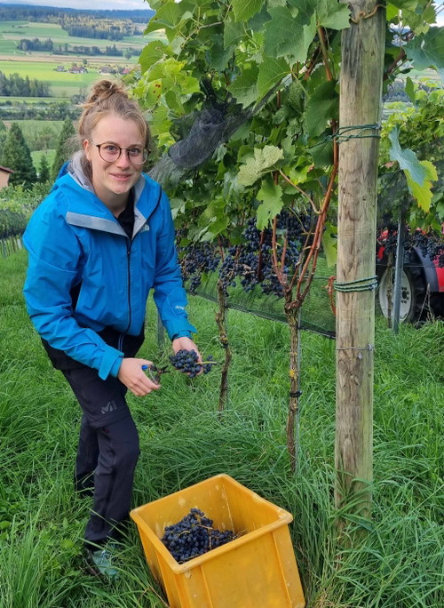 Rahel Lenz vom Bioweingut Lenz in Uesslingen, Thurgau.