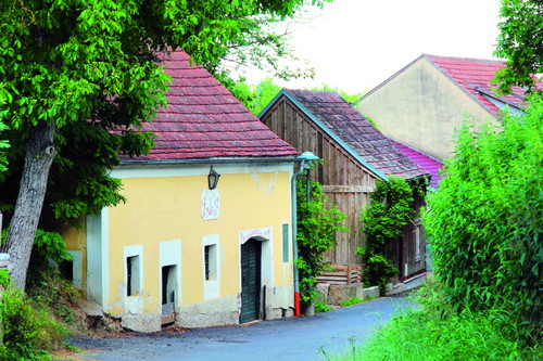 ...und werden von hunderten Familien bewirtschaftet.