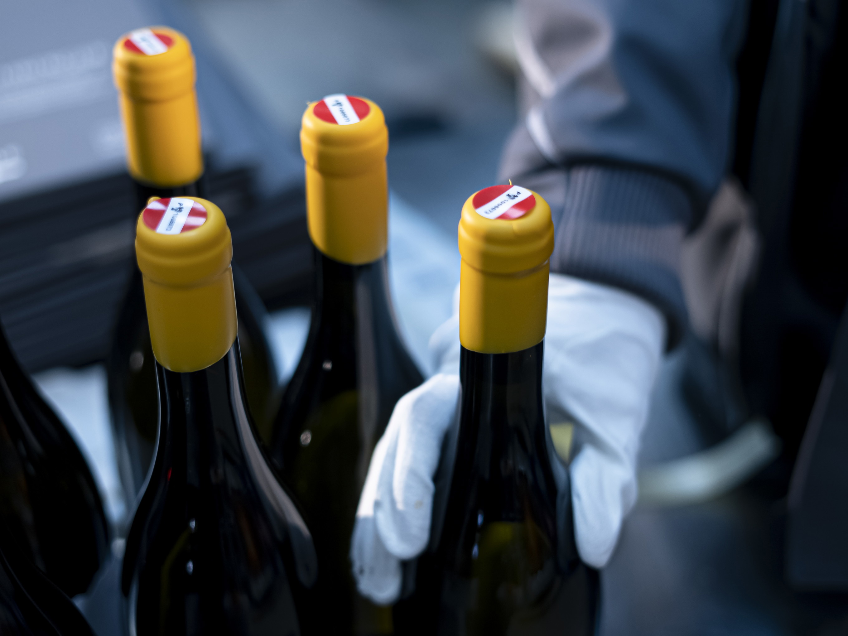 Der österreichische Wein befindet sich international auf der Überholspur.
