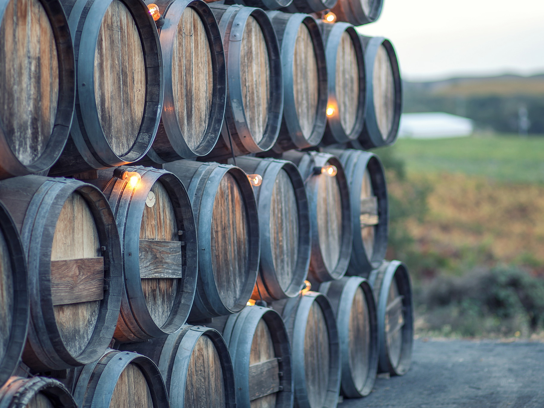 Oak barrels near a vineyard in California.