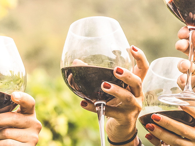 Über eine Milliarde Flaschen Wein wurden 2022 von deutschen Winzern abgefüllt.