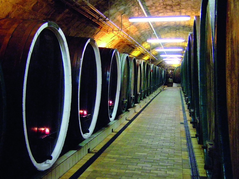Bei der Winzervereinigung Freyburg gehen moderne Architektur und Kellerromantik Hand in Hand.