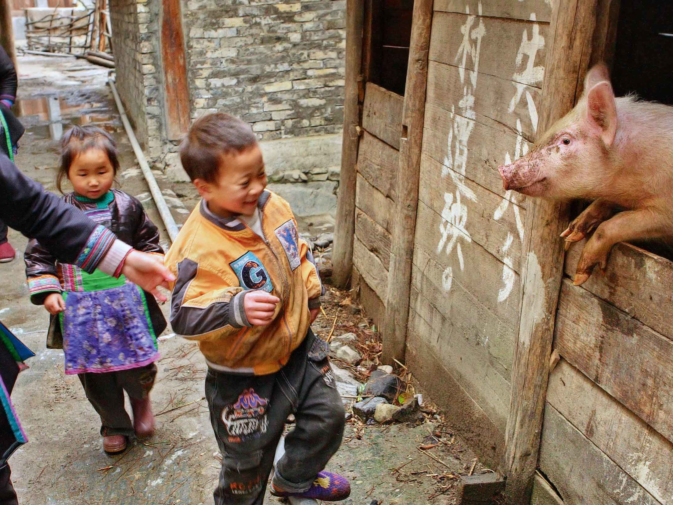 In China sind Schweine nahezu allgegenwärtig – kulinarisch wie auch im Straßenbild.