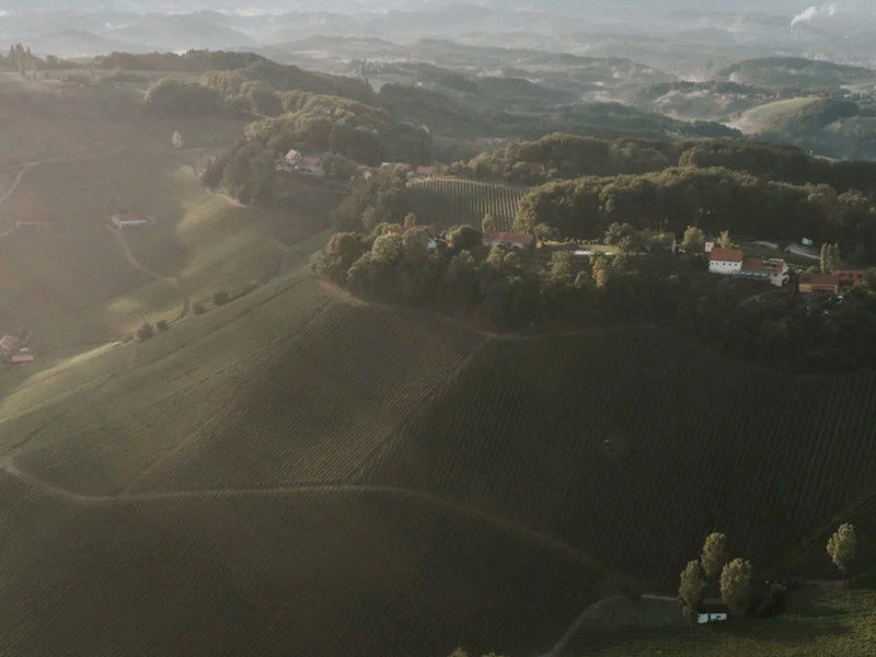Ried Zieregg in der Südsteiermark