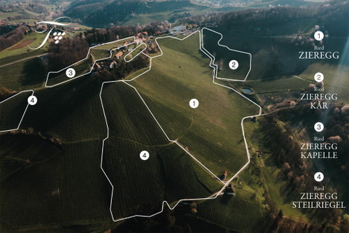 Die neue Gliederung der Ried Zieregg 