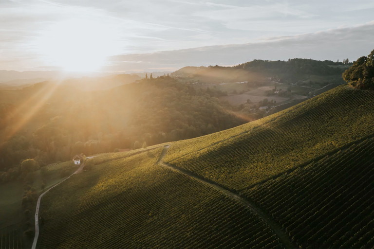 © Weingut Tement