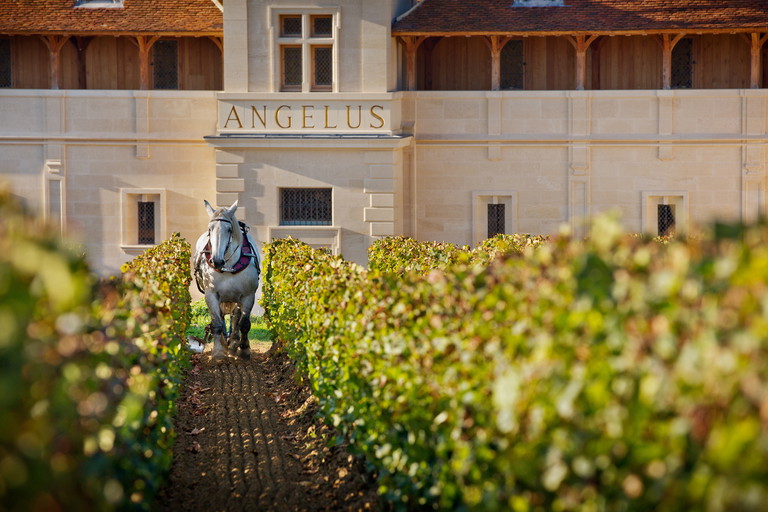 Château Angélus.