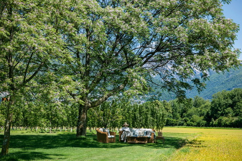 Der lauschige Garten des «Castello del Sole» in Ascona.
