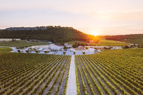 Luxusresort inmitten der Reben: Das »Château l’Hospitalet« des Weinunternehmers Gérard Bertrand befindet sich im Herzen des La-Clape-Gebirges unweit von Narbonne.