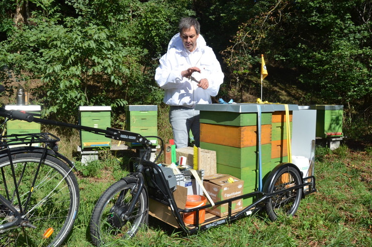 Peter Blaha setzt in seiner Bio-Imkerei im Wiener Prater auf Bio. Das Preisdumping durch Fake-Produkte bereitet ihm deshalb Sorgen.