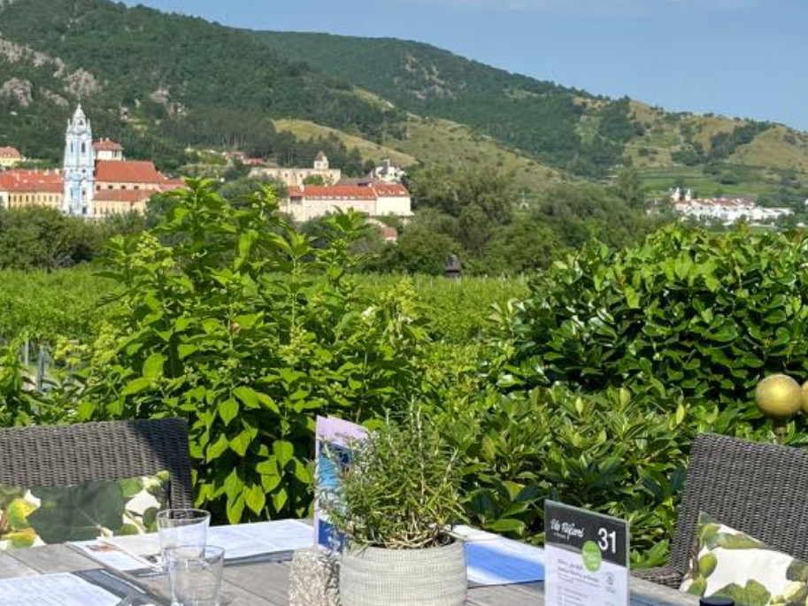 Genuss inmitten der Weinberge mit Blick auf Dürnstein.
