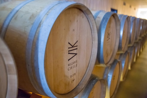 Vina Vik in Millahue Valley, Chile