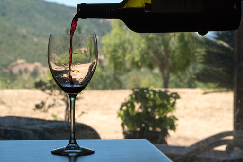 Carménère wine, Chile