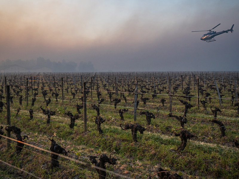 Helicopters are used to circulate warmer air