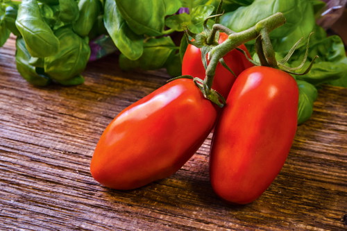 San Marzano
