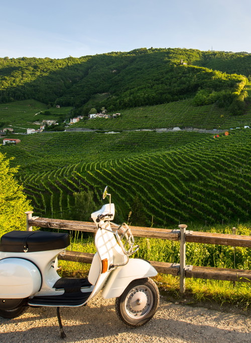 Die sonnigen Lagen im Prosecco-Gebiet erstrecken sich über Höhen von 50 bis 500 Meter. Der fertige Prosecco wird drei bis vier Monate gelagert, ehe er ausgeliefert werden kann.