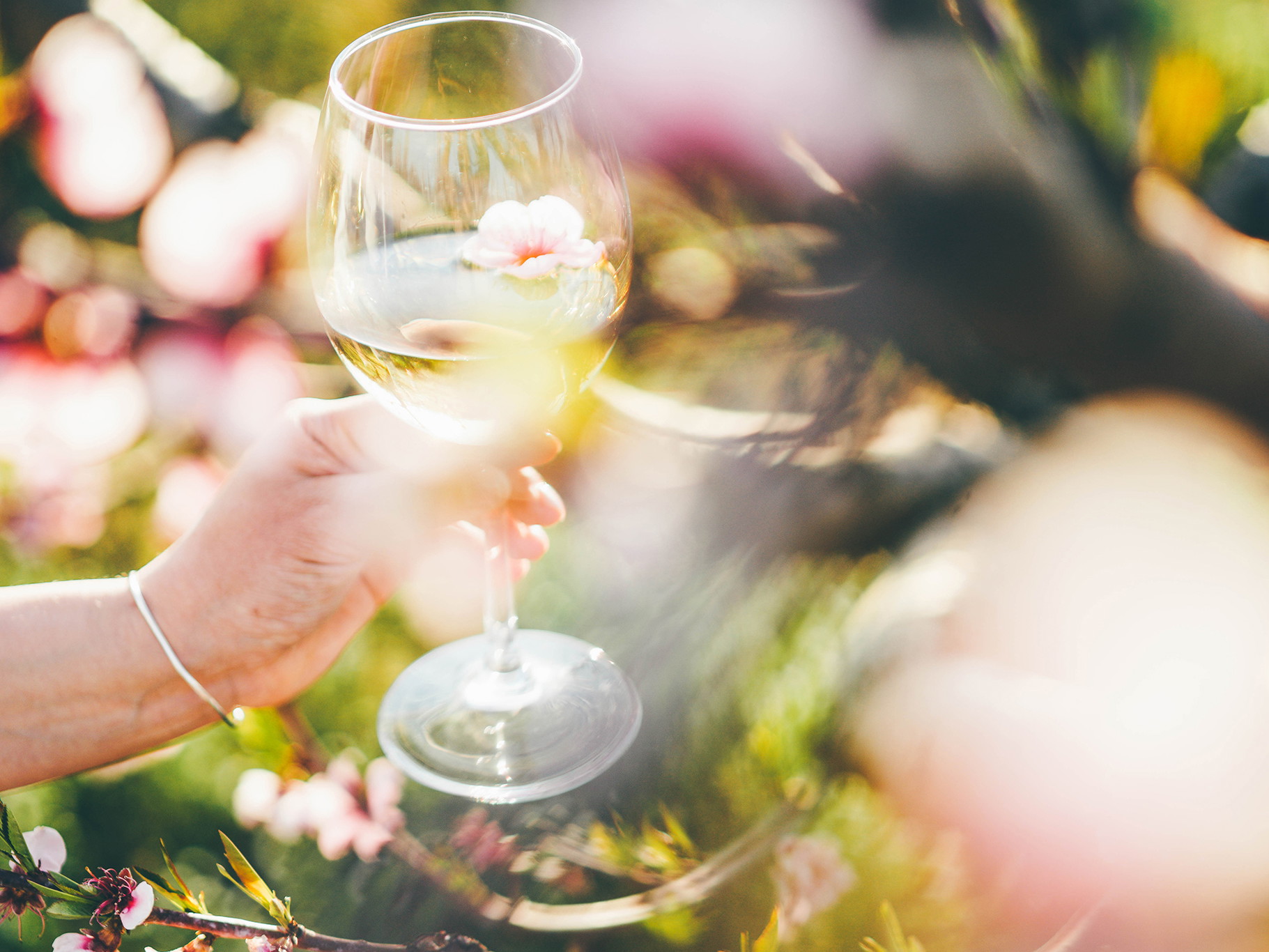 Wines that resemble the very essence of spring