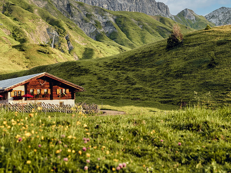 Idyllische Natur umrahmt die Kriegeralpe, eine Alphütte und ein Bergrestaurant, das feinste Speisen serviert.