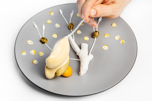 Das Dessert ist ein kleines Kunstwerk und schmeckt fantastisch.