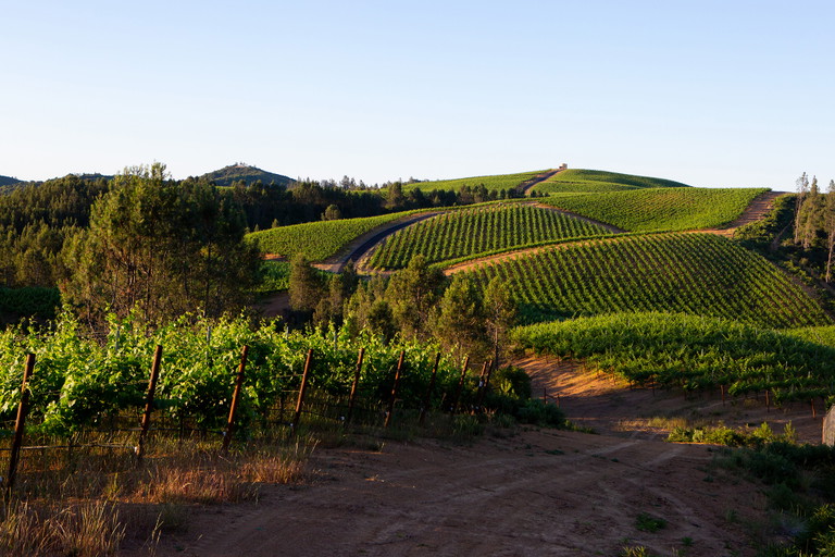 Over 50 percent of the AVA contains soils that are 12 inches deep or less.