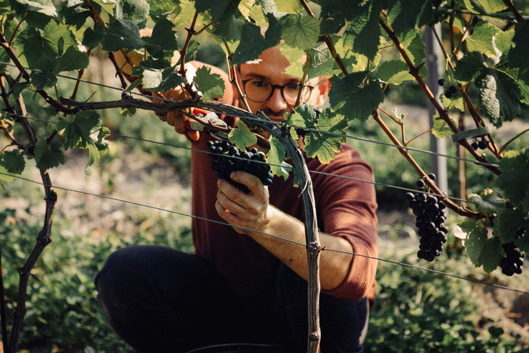 Kamil Barczentewicz glaubt an das Potenzial des Pinot Noir in Polen.