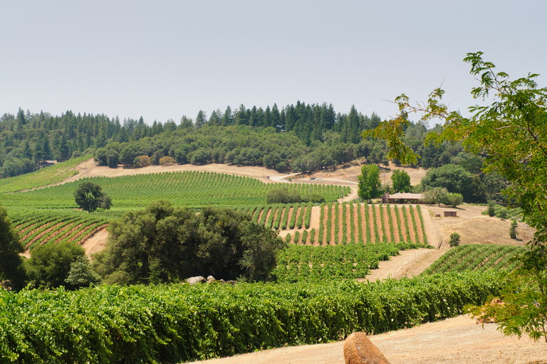 Sierra Foothills, California.