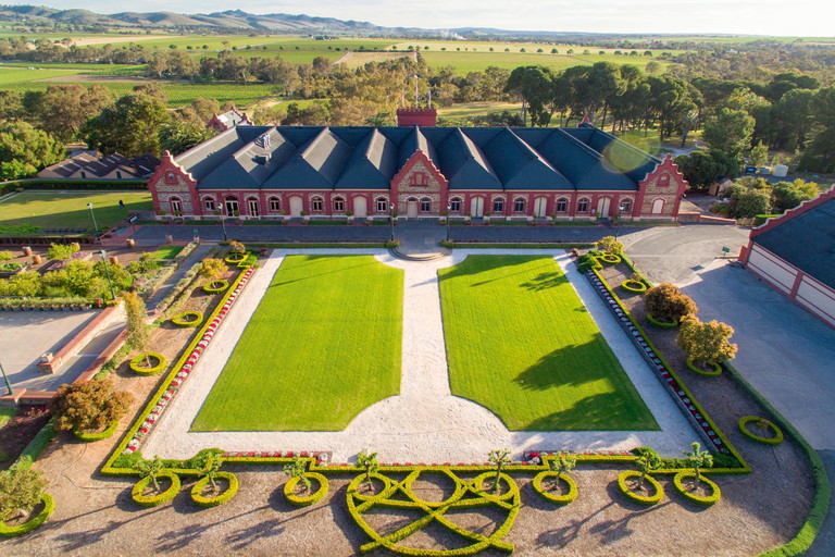 Australiens Barossa Valley gilt auch heute noch als weitgehend reblausfrei: In den Weinbergen von Château Tanunda existiert noch ein 1858 wurzelecht gepflanzter Mischsatz.