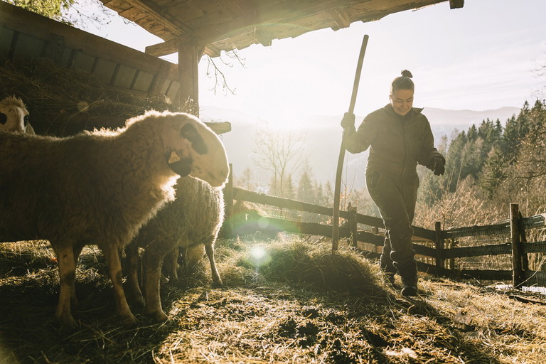 Neben einem Obst- und Gemüsegarten hält Carpi auch Schafe und Schweine – ihre Rezepte hält die Autorin aber bewusst eher vegetarisch.