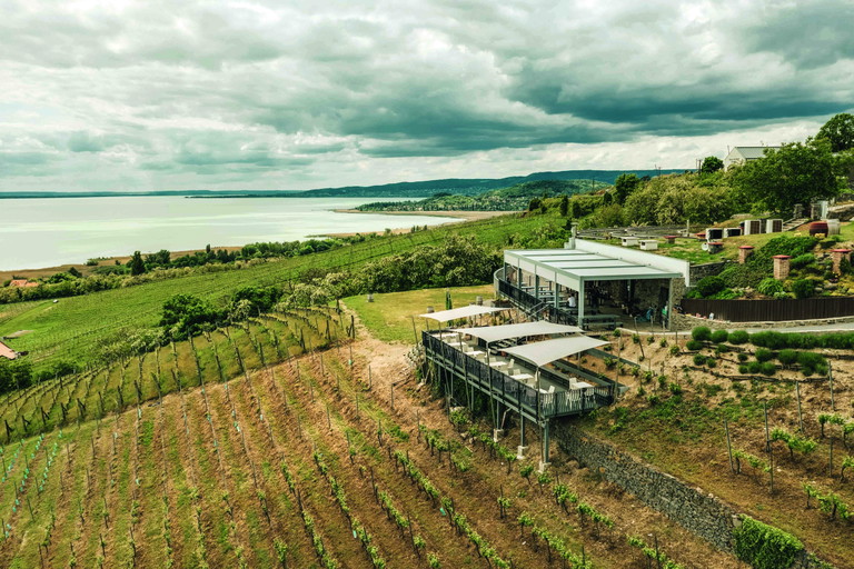 Das Weingut Laposa am ungarischen Plattensee erzeugt auf vulkanischen Böden finessenreiche Sortenvertreter.