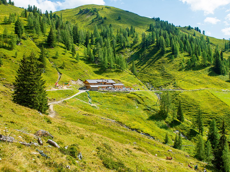 Die Loosbühelalm ist ein beliebtes Ausflugsziel. Inmitten der Natur werden hier hofeigene Produkte serviert.
