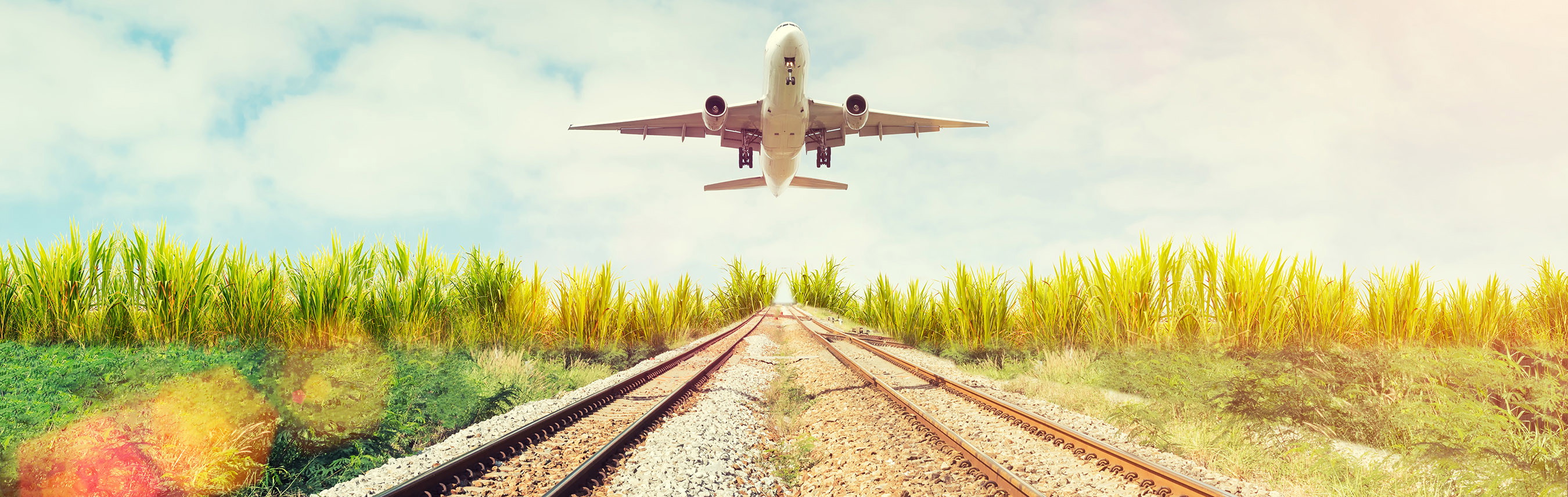 Flying one-way should reduce travel emissions - Falstaff