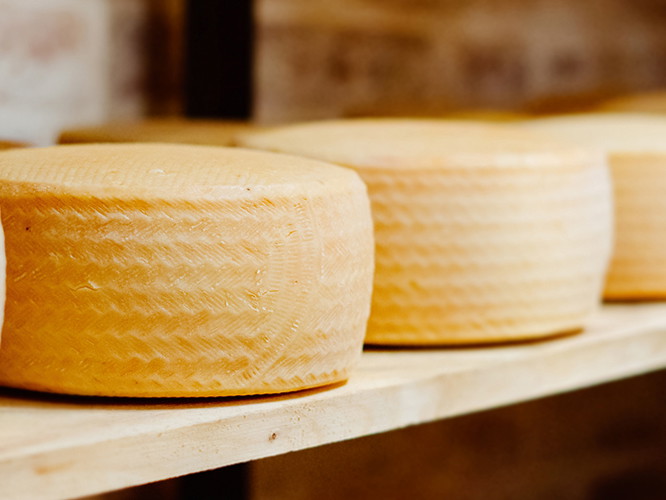 Manchego ist einer der berühmtesten Schafsmilchkäse der Welt. Auch in Spanien selbst ist er populär, besonders in der milden Variante »Semi-Curado«.
