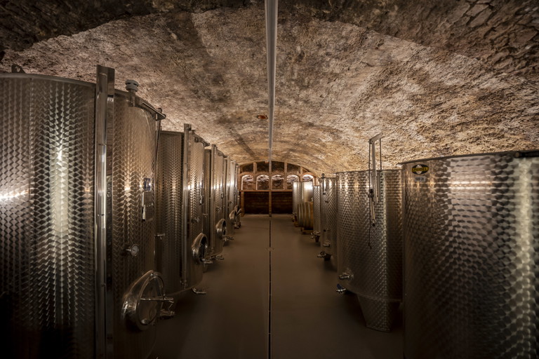 Der Weinkeller bei Simon Gattinger bietet dem Wein dank moderner Temperatur- und Luftfeuchtigkeitsregelung die optimalen Bedingungen zum Reifen.