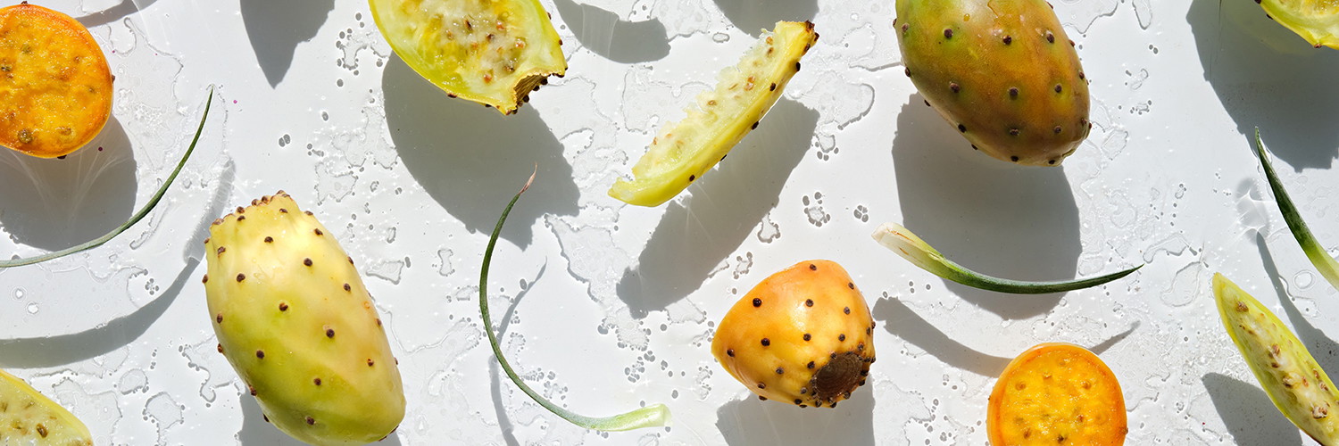 mini kaktus kaufen Cutest Little Mini Cactus Pack | Live Cactus Assorted Pack for Sale Online main image 0