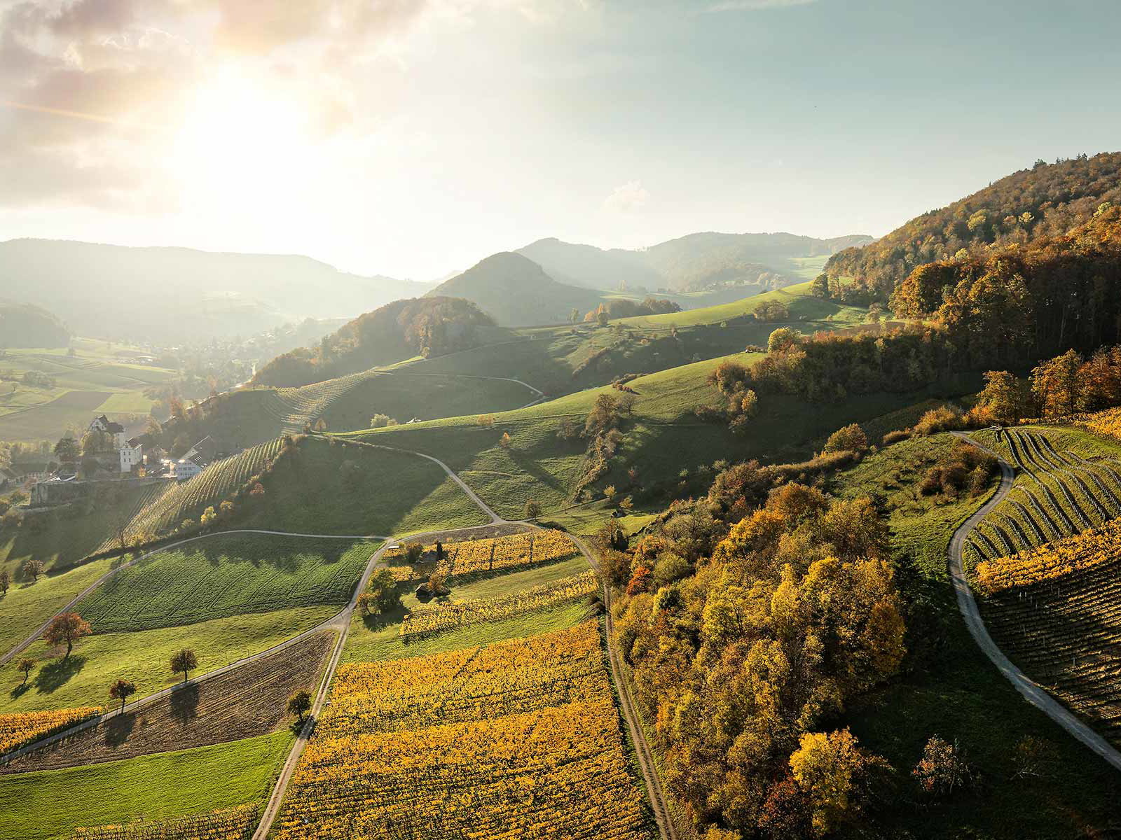 Der Aargau weiss auch visuell zu überzeugen: Im Bild die traumhaften Reblagen des Weingut zur Linde.
